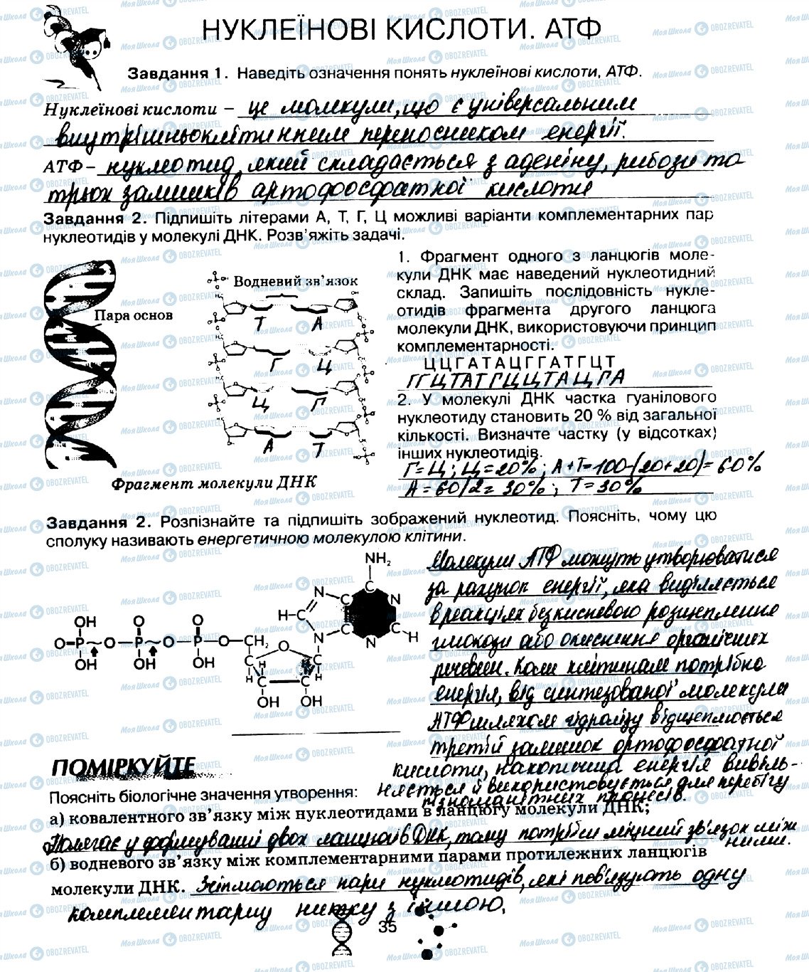 ГДЗ Біологія 10 клас сторінка стор35
