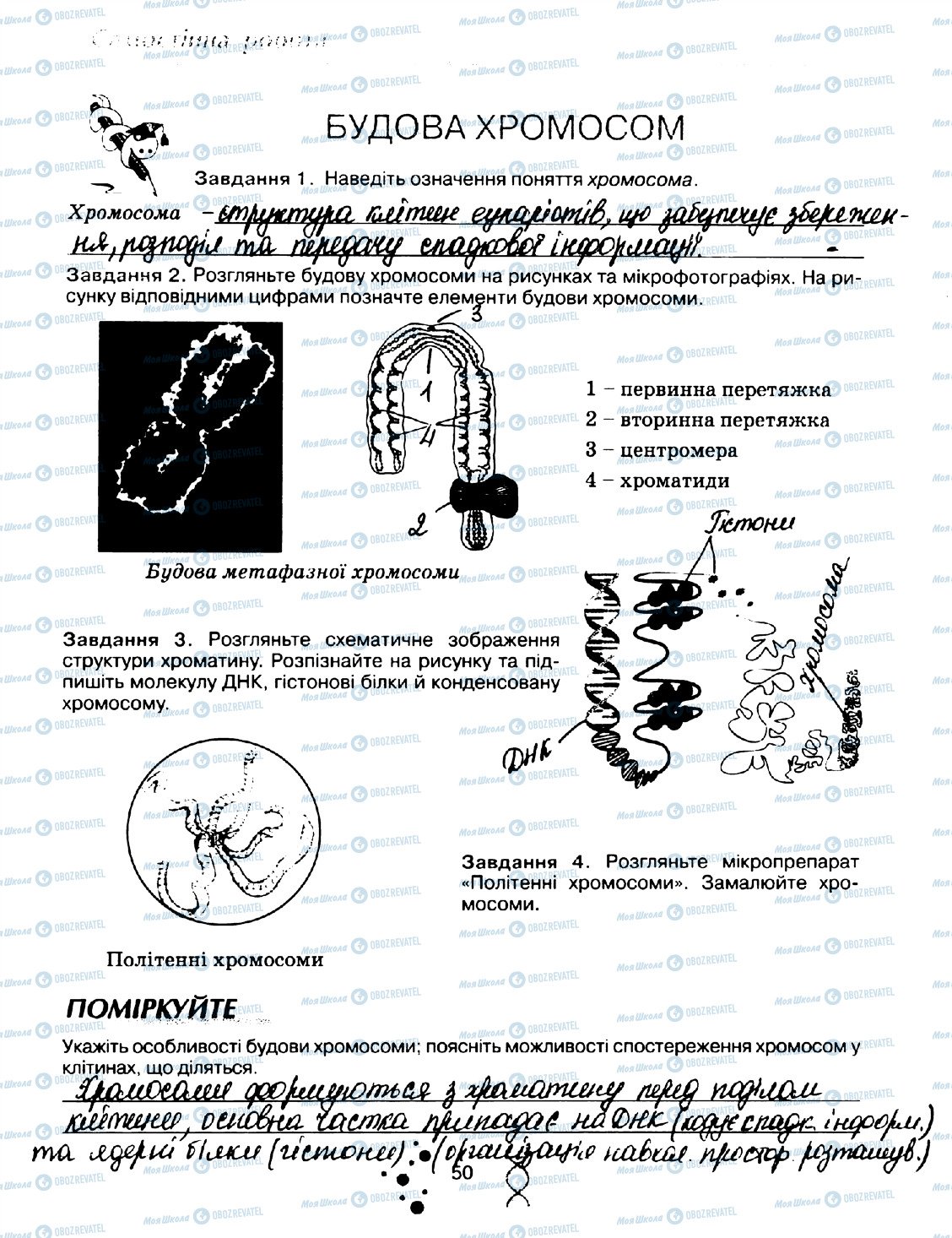 ГДЗ Біологія 10 клас сторінка стор50