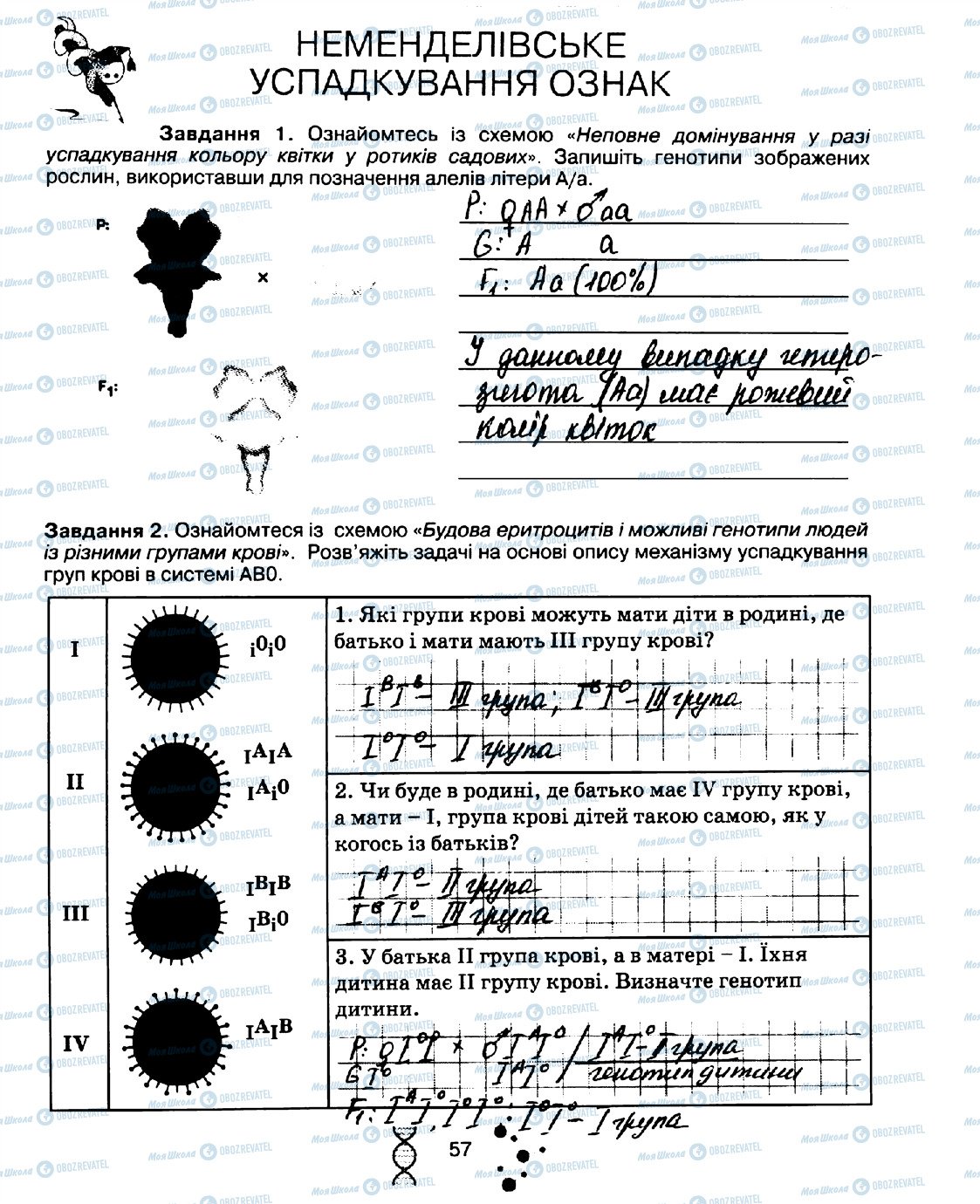 ГДЗ Біологія 10 клас сторінка стор57