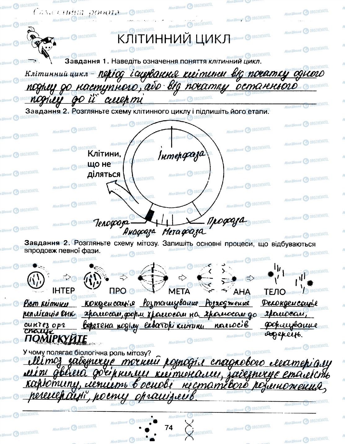 ГДЗ Біологія 10 клас сторінка стор74