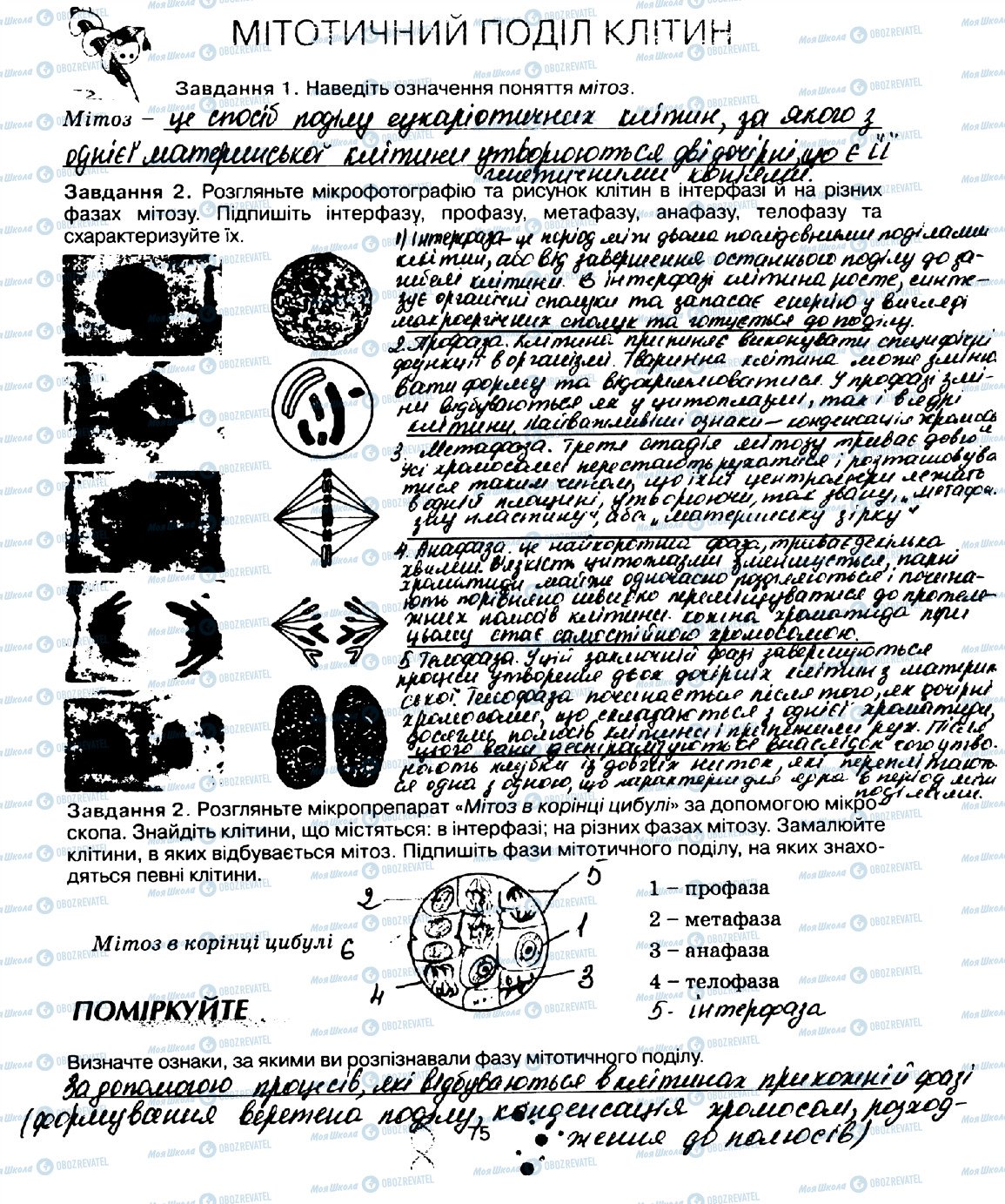 ГДЗ Біологія 10 клас сторінка стор75