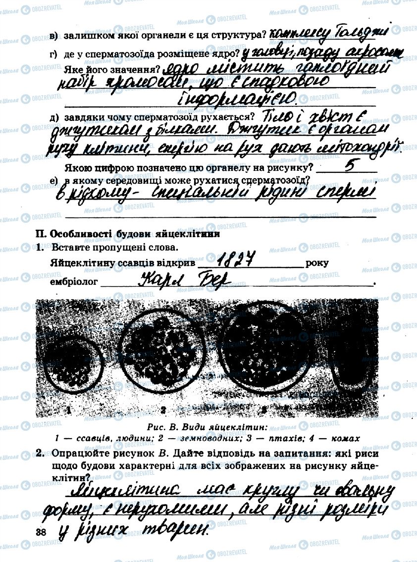 ГДЗ Биология 10 класс страница стр38