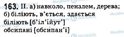 ГДЗ Українська мова 5 клас сторінка 163