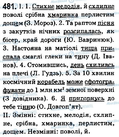 ГДЗ Українська мова 5 клас сторінка 481