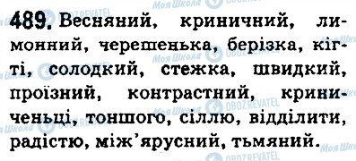 ГДЗ Українська мова 5 клас сторінка 489