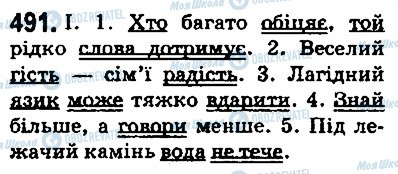 ГДЗ Українська мова 5 клас сторінка 491