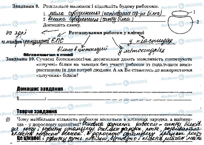 ГДЗ Біологія 9 клас сторінка стр28