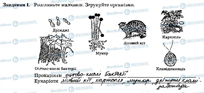 ГДЗ Біологія 9 клас сторінка стр31