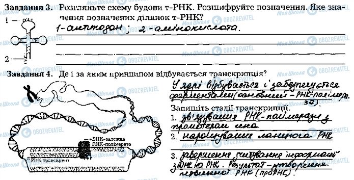 ГДЗ Биология 9 класс страница стр45