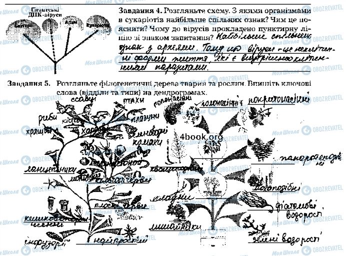 ГДЗ Биология 9 класс страница стр103