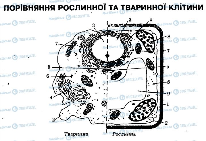 ГДЗ Биология 10 класс страница 1