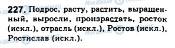 ГДЗ Російська мова 8 клас сторінка 227