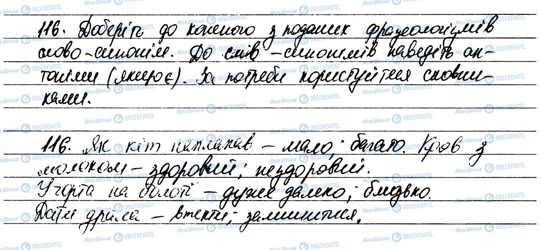 ГДЗ Українська мова 6 клас сторінка 116