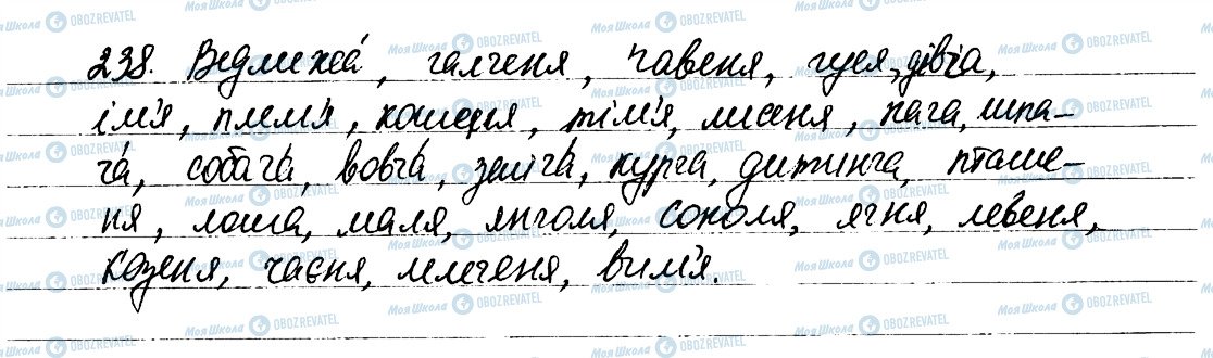 ГДЗ Українська мова 6 клас сторінка 238