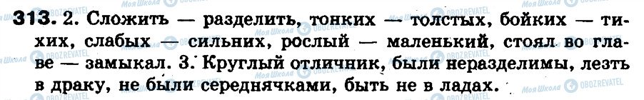 ГДЗ Російська мова 5 клас сторінка 313