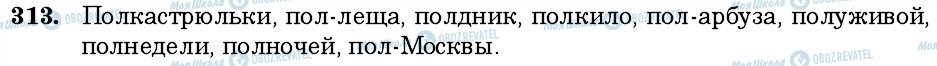 ГДЗ Російська мова 6 клас сторінка 313