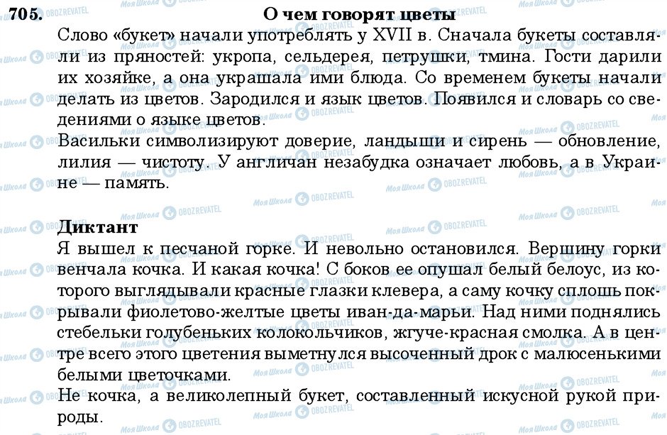 ГДЗ Русский язык 6 класс страница 705