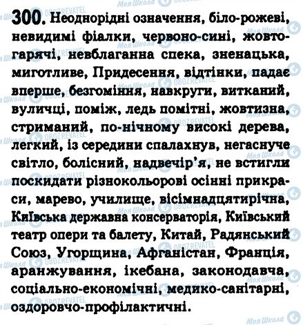 ГДЗ Укр мова 8 класс страница 300