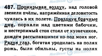 ГДЗ Російська мова 8 клас сторінка 487