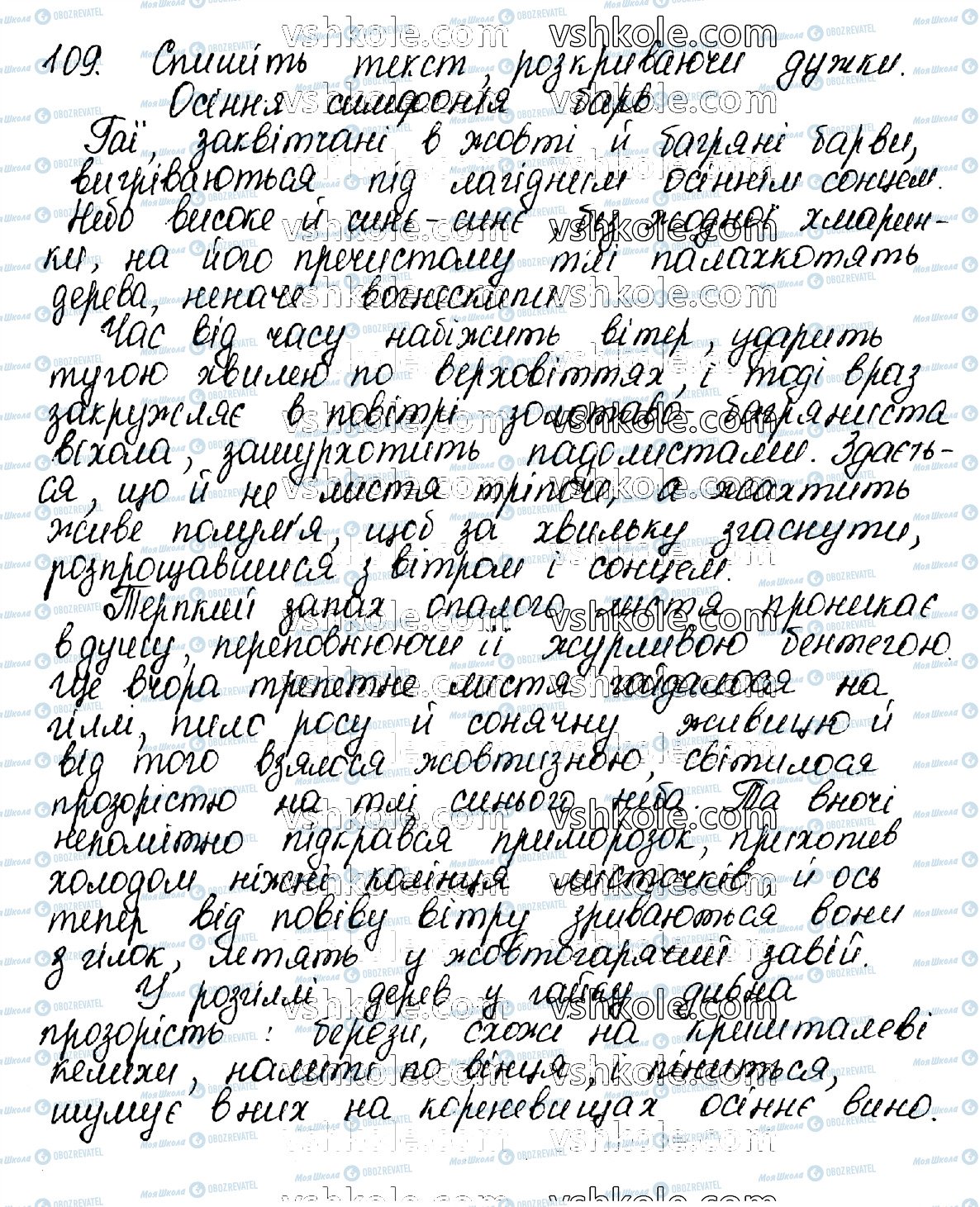 ГДЗ Українська мова 10 клас сторінка 109