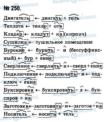 ГДЗ Російська мова 10 клас сторінка 250