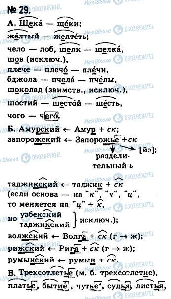 ГДЗ Русский язык 10 класс страница 29