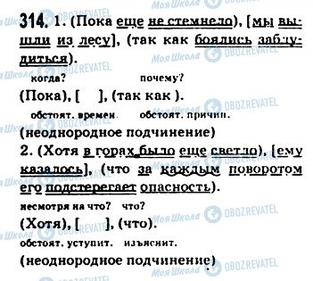 ГДЗ Російська мова 9 клас сторінка 314