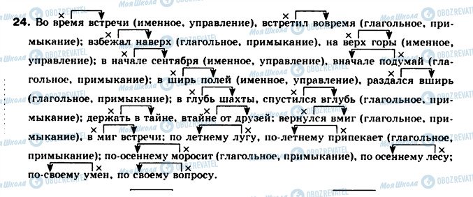 ГДЗ Російська мова 8 клас сторінка 24