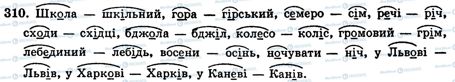 ГДЗ Українська мова 5 клас сторінка 310