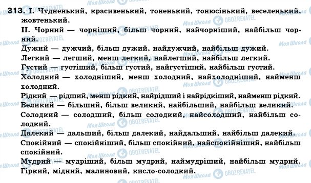 ГДЗ Українська мова 6 клас сторінка 313