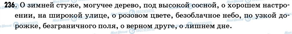 ГДЗ Російська мова 6 клас сторінка 236