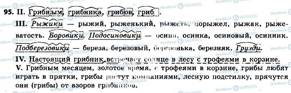 ГДЗ Російська мова 6 клас сторінка 95