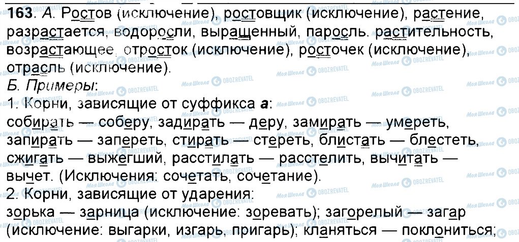 ГДЗ Російська мова 6 клас сторінка 163
