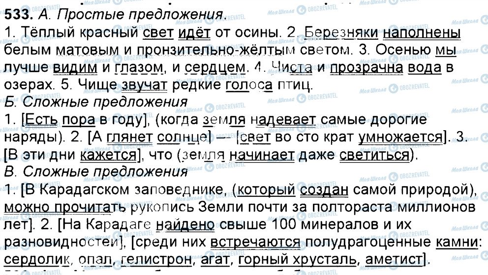 ГДЗ Російська мова 6 клас сторінка 533