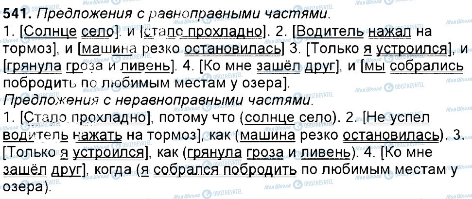 ГДЗ Російська мова 6 клас сторінка 541