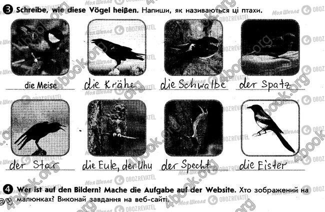 ГДЗ Немецкий язык 6 класс страница стр102. впр3-4