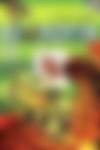 ГДЗ Біологія 11 клас Ю. Г. Вервес, П. Г. Балан 2011 Рівень стандарту, Академічний рівень