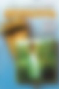 Підручники Російська література 10 клас О. О. Ісаева, Ж.В. Клименко, А.О. Мельник 2011 Рівень стандарту