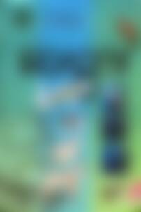 Учебники Биология 8 класс С. В. Межжерин, Я. О. Межжерина 2008