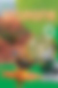 Підручники Біологія 6 клас І. Ю. Костіков, С. О. Волгін, В.В. Додь 2014