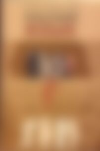 Учебники Русский язык 10 класс А. Н. Рудяков, Е. И. Быкова, Т. Я. Фролова 2010