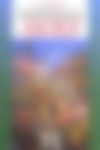 Учебники Укр мова 11 класс Н. В. Бондаренко 2011