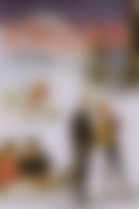 ГДЗ Английский язык 11 класс О. Д. Карпюк 2011 10 год обучения