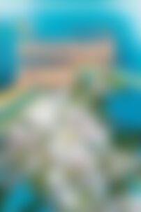 ГДЗ Російська мова 6 клас Л. В. Давидюк 2014