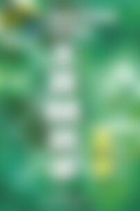 ГДЗ Хімія 8 клас А. М. Радецький 2011