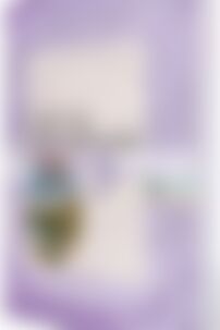 ГДЗ Русский язык 9 класс А. Н. Приймак, Е. И. Самонова, Т. М. Полякова 2011