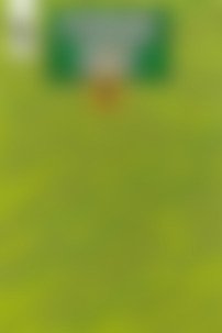 ГДЗ Русский язык 8 класс Л. А. Тростенцова, Т. А. Ладыженская 2016