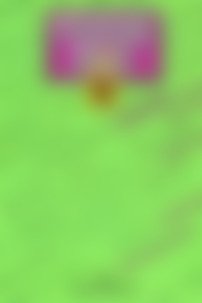 ГДЗ Русский язык 6 класс М. Т. Баранов 2011