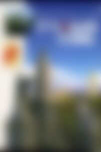 ГДЗ Русский язык 8 класс Е. И. Быкова 2008