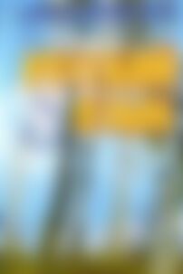 ГДЗ Русский язык 8 класс В.И. Стативка, Л. В. Давидюк 2008